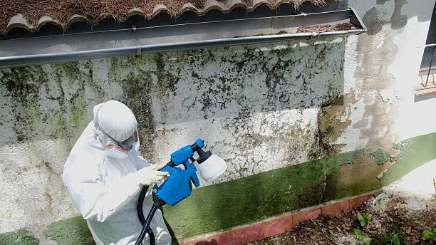 Top rated local Commercial Mold Remediation specialists in Ellicott City, MD